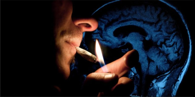 Die Verbindung zwischen Cannabis und Gedächtnis