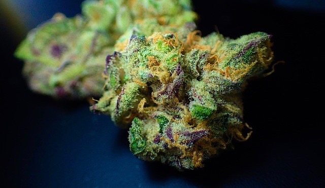 Cannabinoidi - I principi attivi della cannabis